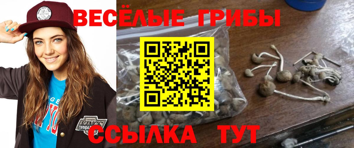 Галлюциногенные грибы мицелий  Галлюциногенные грибы Cubensis  купить закладку  Вход с VPN  Белая Калитва 